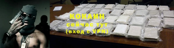 дурь Инта