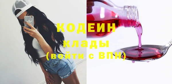 дурь Инта