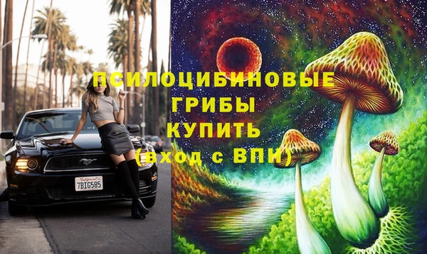 a pvp Зерноград