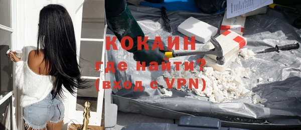 дурь Инта