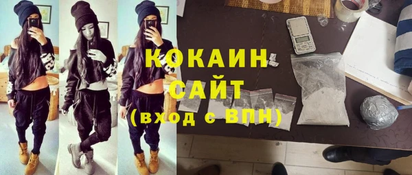 дурь Инта