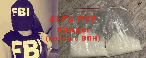 дурь Инта