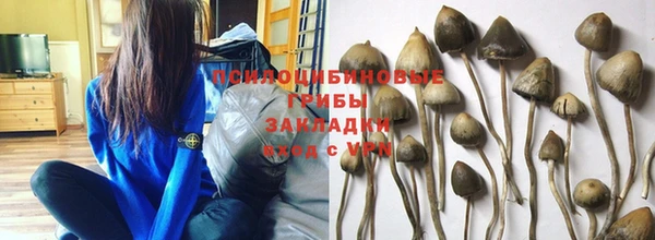 стафф Инсар