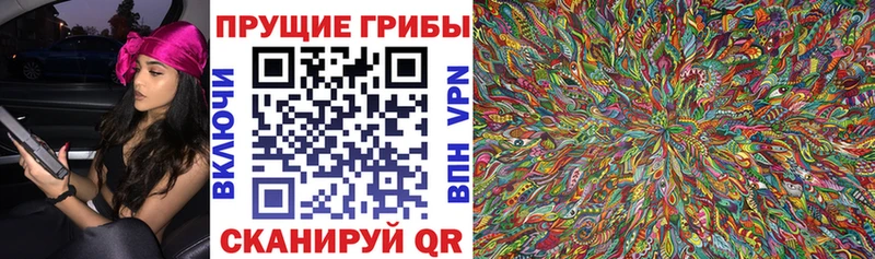 Галлюциногенные грибы мицелий  это наркотические препараты  Михайловка 