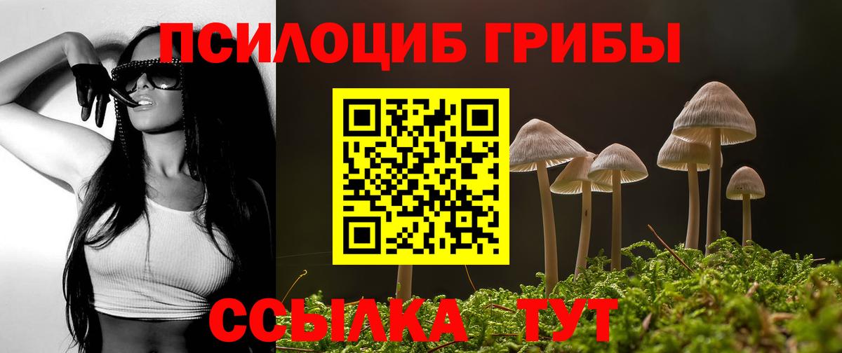 Галлюциногенные грибы прущие грибы  Вход с VPN  Михайловка 